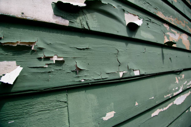 Best Scrap Metal Removal  in Neuse Forest, NC